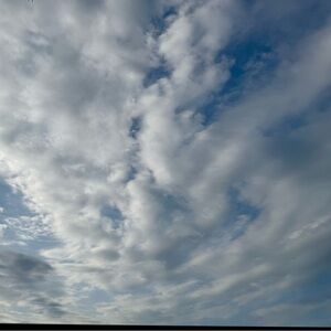 Meet your Posher, Liliana